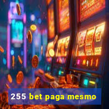 255 bet paga mesmo